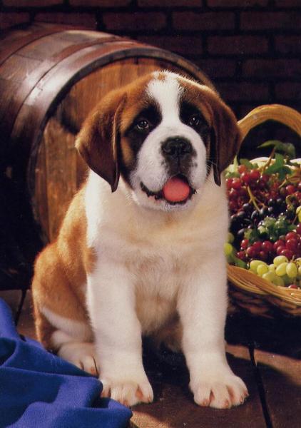 Bon Jeudi � toutes et � tous!